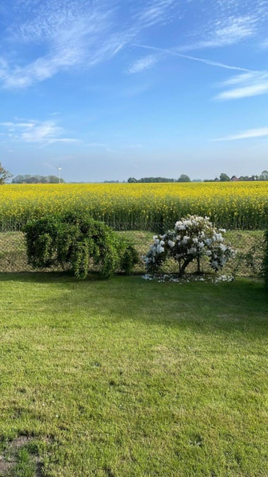 Nordseekueste Am Deich Mit Schoenem Garten Villa Nessmersiel Exterior photo